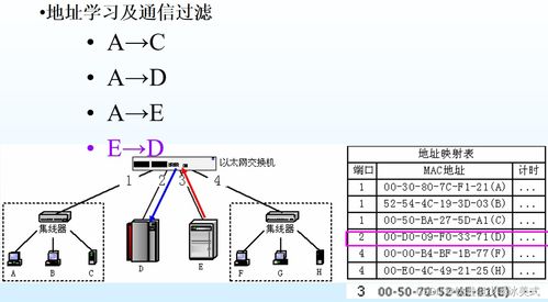 信息网络服务 数据通信与网络时代的核心应用
