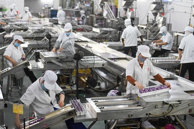 湖南在行动④: 信息网络服务赋能，全面落实稳就业政策措施